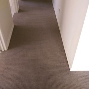 Carpet - Micks Carpet Cleaning Ballarat