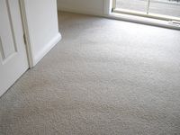 Carpet Dry Cleaning - Micks Carpet Cleaning