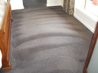 Carpet Dry Cleaning - Micks Carpet Cleaning