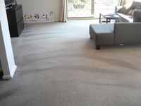 Carpet Dry Cleaning - Micks Carpet Cleaning