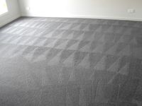 Steam Carpet Cleaning - Micks Carpet Cleaning Ballarat