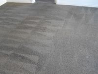 Steam Carpet Cleaning - Micks Carpet Cleaning Ballarat