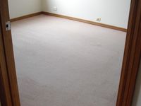 Steam Carpet Cleaning - Micks Carpet Cleaning Ballarat