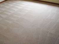 Steam Carpet Cleaning - Micks Carpet Cleaning Ballarat