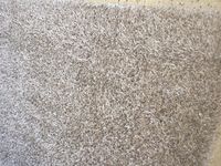 Steam Carpet Cleaning - Micks Carpet Cleaning Ballarat