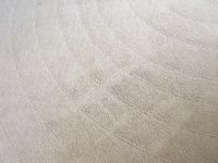 Steam Carpet Cleaning - Micks Carpet Cleaning Ballarat