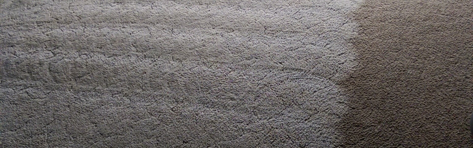 Carpet Cleaning