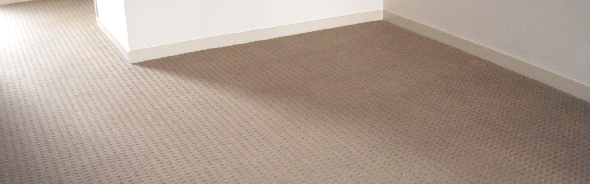 Household Carpet Steam Cleaning